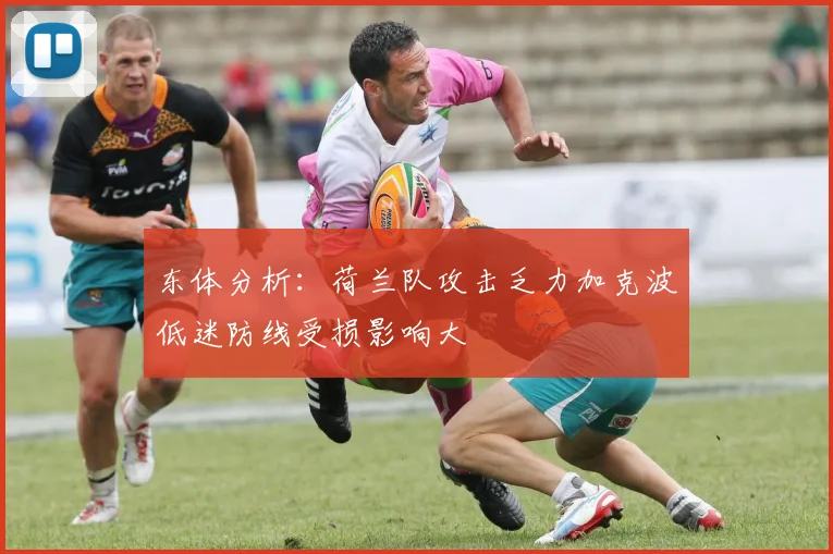 东体分析：荷兰队攻击乏力加克波低迷防线受损影响大