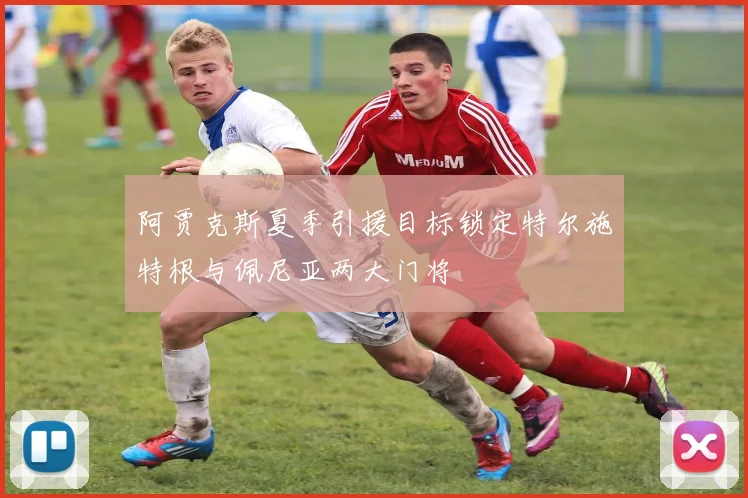 阿贾克斯夏季引援目标锁定特尔施特根与佩尼亚两大门将