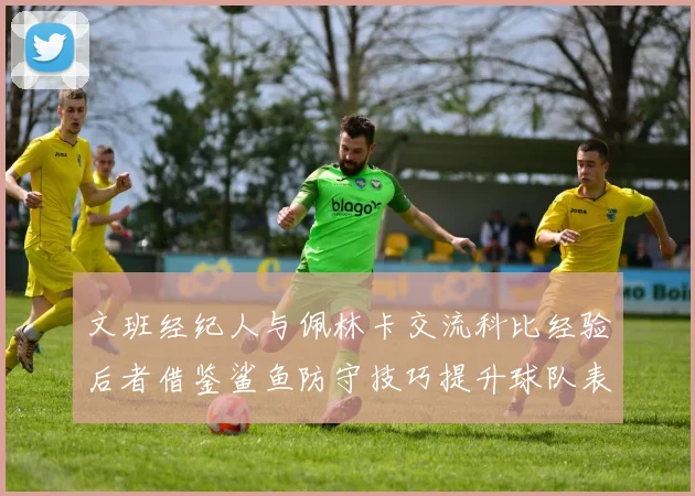 文班经纪人与佩林卡交流科比经验后者借鉴鲨鱼防守技巧提升球队表现