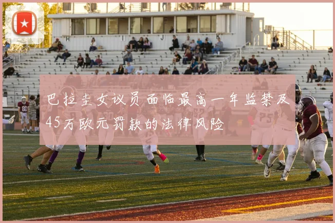巴拉圭女议员面临最高一年监禁及45万欧元罚款的法律风险